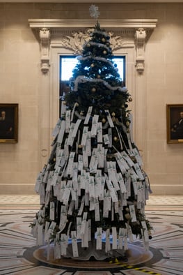 51699544667_7ce02f0a75_o